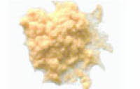 Art.Nr. 101-000creme