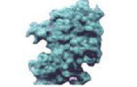 Art.Nr. 101-800 trkis